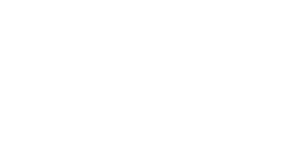Whiz logo